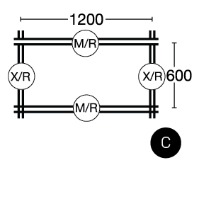 c module icon